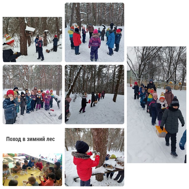поход зима
